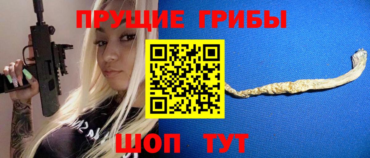 Галлюциногенные грибы Magic Shrooms  Вход с VPN  где купить наркотик  Сердобск 