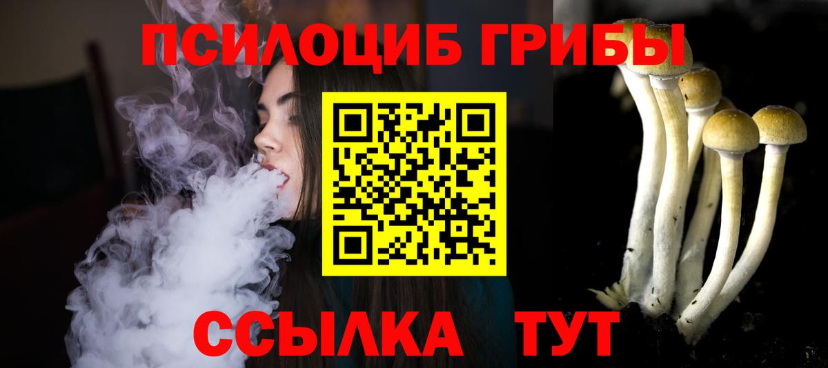 Псилоцибиновые грибы GOLDEN TEACHER Сердобск